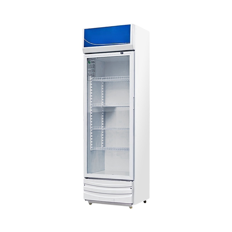 Wine Beer Store - Commercial Electric Double Three-Door Wine Beverage