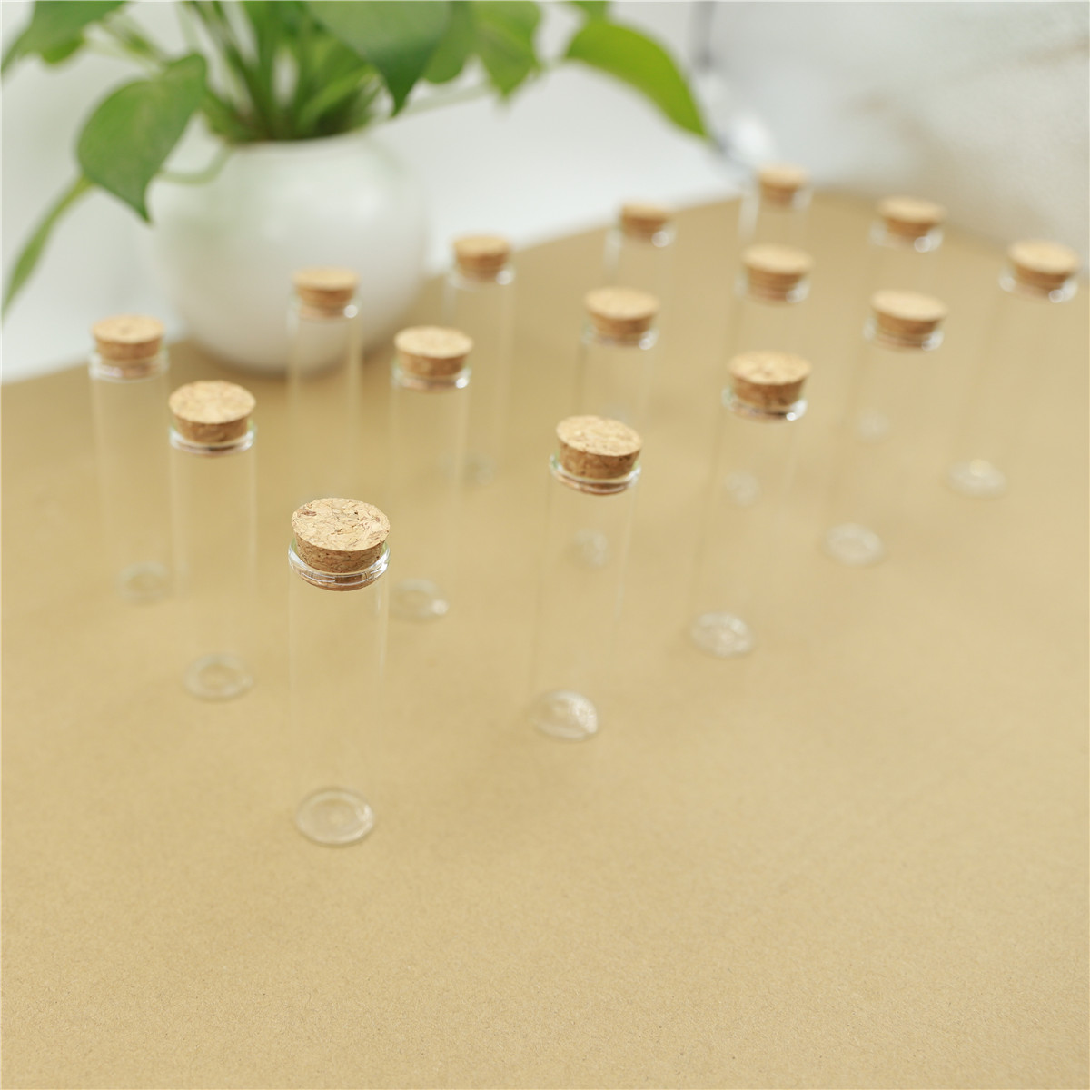 50pcs/lot Glass Bottle 22*80mm - Bottle Stopper Set ulasan dan harga