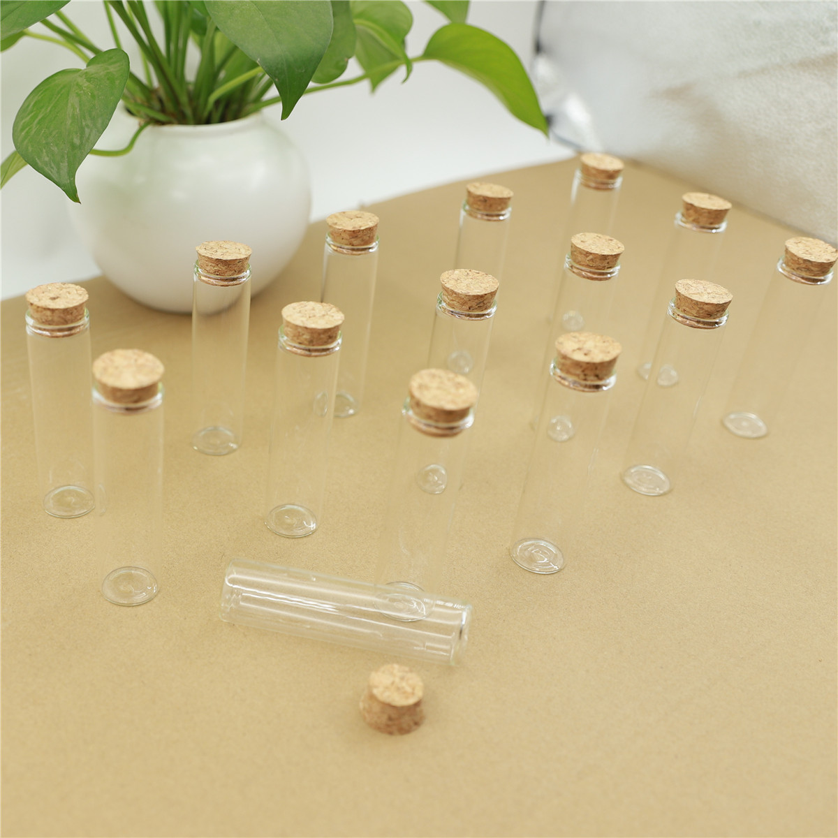 50pcs/lot Glass Bottle 22*80mm - Bottle Stopper Set ulasan dan harga